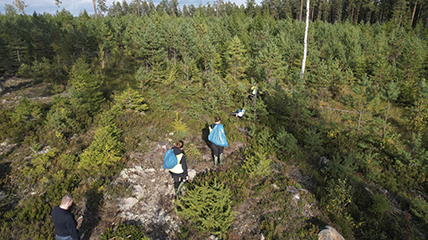 Människor med blå soppåsar vandrar över berg mot skog.