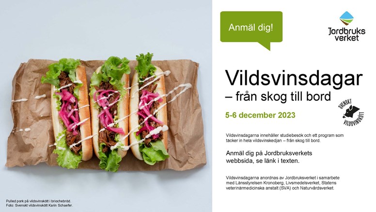 Bröd med sallad, strimlat kött och picklad rödlök ligger på ett brunt papper. 