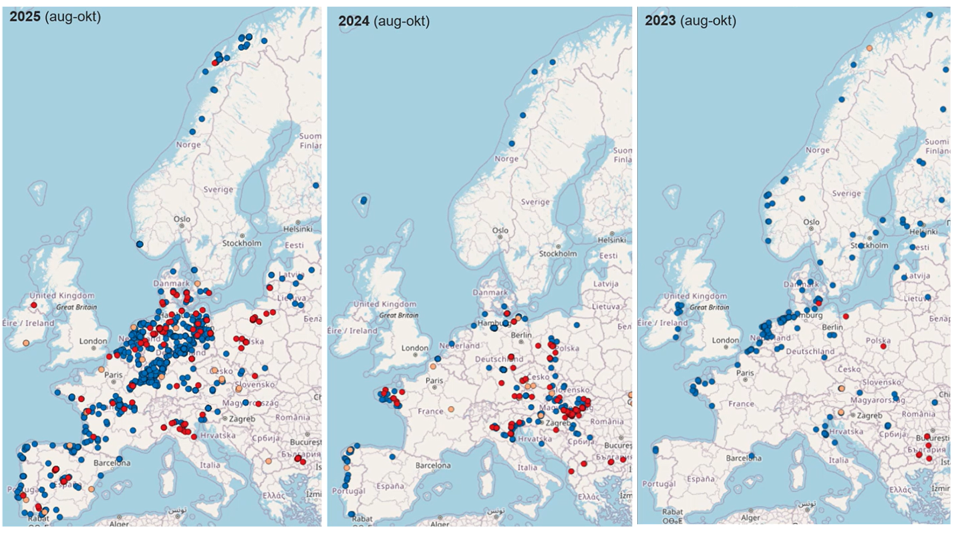 Tre kartbilder som jämför spridningen av fågelinfluensa hos vilda fåglar 2023, 2024 och 2025 månaderna augusti till oktober.