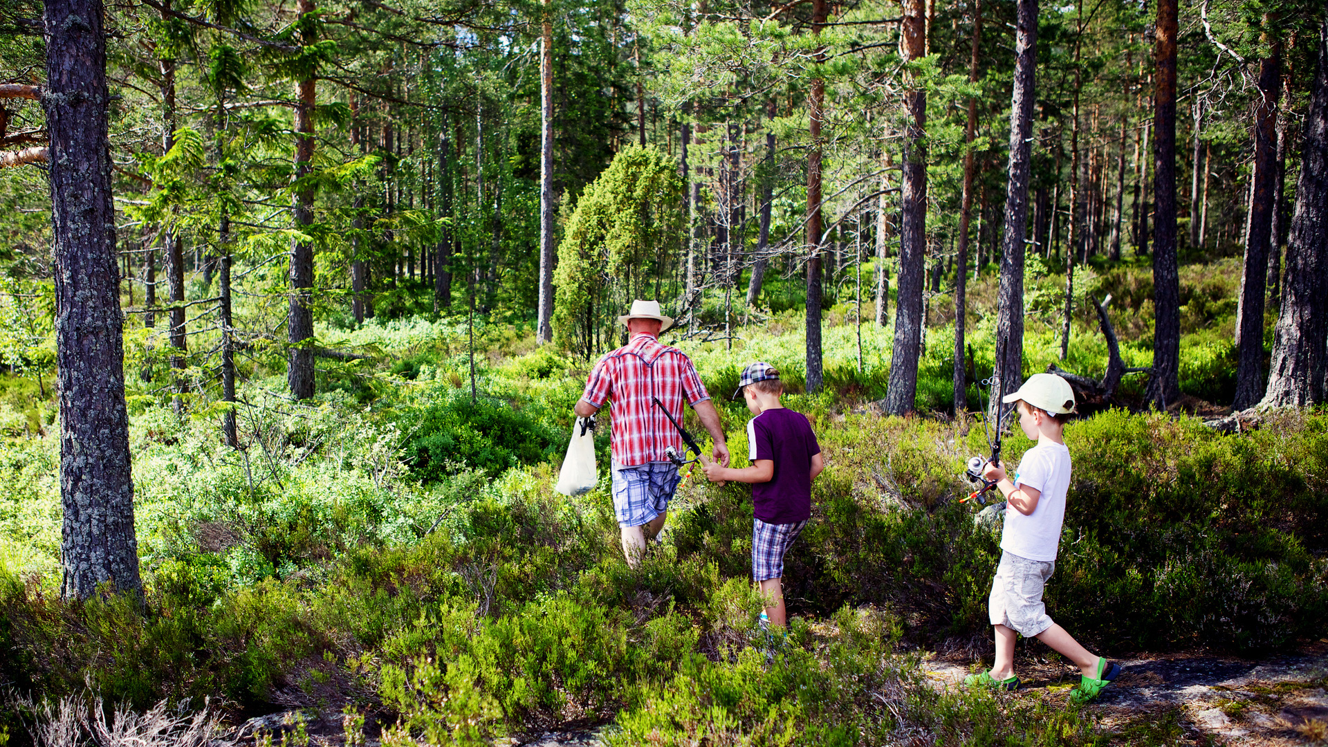 Man och två pojkar i tallskog